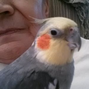 Meet your Posher, Colleen